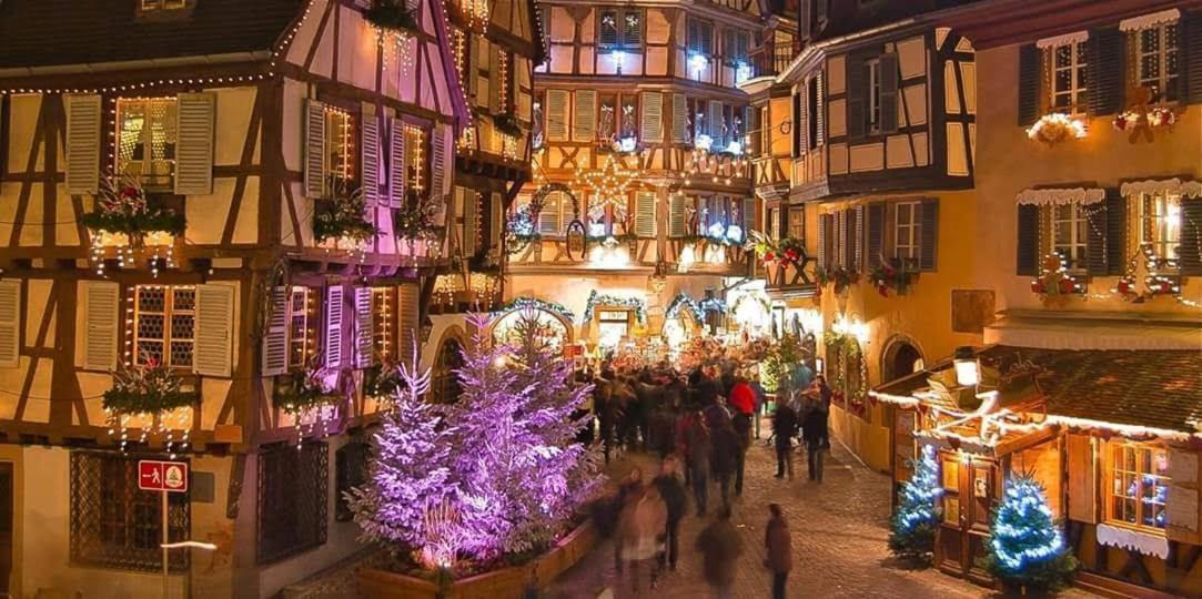 Maison De Vacances Avec Piscine, Proche Strasbourg Et Europa Park Sand Buitenkant foto