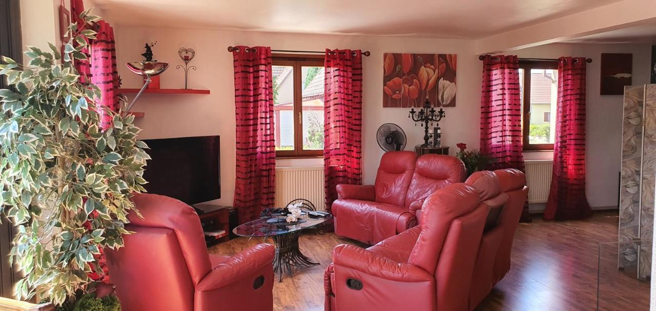 Maison De Vacances Avec Piscine, Proche Strasbourg Et Europa Park Sand Buitenkant foto