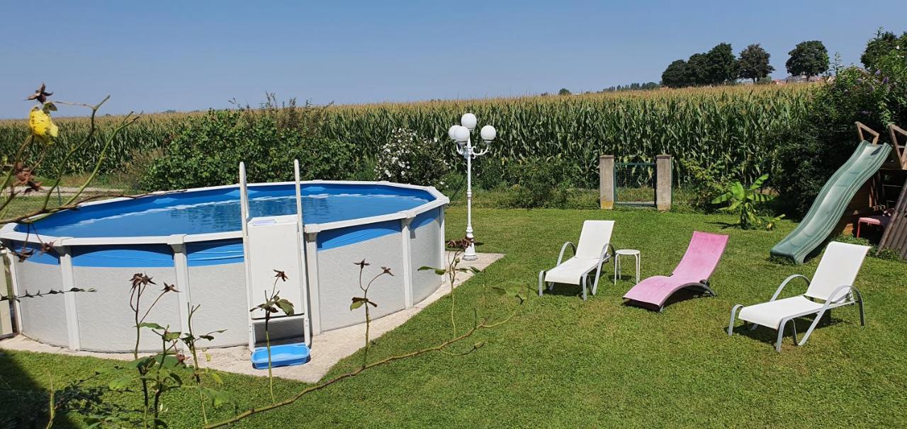 Maison De Vacances Avec Piscine, Proche Strasbourg Et Europa Park Sand Buitenkant foto